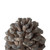 10.5" Gray and Brown Traditional Style Pine Cone Tabletop Decor