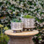 Set of 2 White and Black Ceramic Outdoor Footed Planters 8"