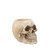 4" Brown and Beige Distressed Finish Realistic Grinning Skull Halloween Pen Holder (Pack of 2)
