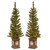 4’ Pre-Lit Potted Lehigh Valley Entrance Tree with Clear Lights – Set of Two