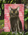 Caroline's Treasures CK3047GF Bombay Cat Love Flag Garden Size , Small, multicolor