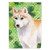 Siberian Husky St Patrick's Flag Canvas House Size BB9829CHF