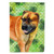 Boerboel Mastiff St Patrick's Flag Canvas House Size BB9820CHF
