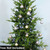 Sunnydaze Indoor Christmas Holiday Tree Shatterproof Merry Medley Ball Ornaments with Hooks - 2" - Gold and Silver - 24pc