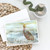 Caroline's Treasures SC2009GCA7P Brown Pelican Watercolor Greeting Cards and Envelopes Pack of 8, 7 x 5, multicolor