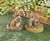 6.25" Brown and White Curious Bunny Outdoor Garden Decor