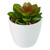 4" Mini White Potted Artificial Succulent Plant