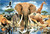 TDC Games World's Smallest Jigsaw Puzzle - African Oasis - Measures 4 x 6 inches when assembled - Includes Tweezers