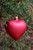 Blown Glass Heart Ornaments with Matte Finish - OR5371-1
