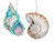 Coral Reef Shell Holiday Christmas Xmas Ornament Metal Capiz A/3