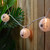 10-Count Black Spider in Web Paper Lantern Halloween Lights, 8.5ft White Wire