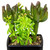 6" Potted Green Artificial Succulent Arrangement