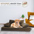 Precious Tails Modern Sofa Pet Bed  Mocha  Medium