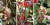 AuldHome Design Set of 6 Vintage Retro Christmas Ornaments (3 Designs, 6 Ornaments Total); Nostalgic Tree Decorations in Metal Frames