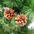 39" LED Lighted Mixed Pine and Pine Cones Artificial Christmas Tree in Jute Base