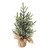 Frosted Pine Tree with Natural Jute Base Christmas Decoration - 13.25"