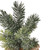 Frosted Mini Pine Tree Christmas Decoration with Burlap Base - 7.75"