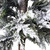 Heavily Flocked Pine Christmas Tree in Natural Jute Base - 35.25"