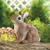 6.75" Brown and White Garden Sitting Bunny Statue - 34254439