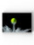 Tennis Ball Bouncing On Dust Wrapped Canvas -Image by Shutterstock
