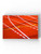 Running Sport Track Wrapped Canvas -Image by Shutterstock