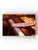 Acoustic Guitar On Piano Wrapped Canvas -Image by Shutterstock