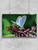 Blue Butterfly In Nature Poster -Image by Shutterstock