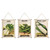 Seed Pack Easter Spring Wall Art A/3