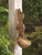 13" Brown and Black Scurrying Squirrel Outdoor Bird Feeder