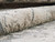 Momeni Cambridge 7'10" X 10'10" Area Rugs In Charcoal Finish CAMBRCMB-1CHR7AAA