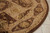 Nourison Traditional 6' x ROUND Area Rugs With Brown Finish 099446200556