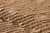 Madcap Cottage Hardwick Hall 8' X 10' Area Rugs With Natural HARDWHRD-2NAT80A0