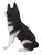 20" Cute Black and White Sitting Siberian Husky Statue