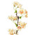 36" Apricot and Peach Quince Blossoms Artificial Silk Floral Spray