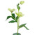 22" Helleborus Molly's White Artificial Silk Floral Spray