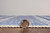 Linon Transitional Washable 5' x 7' Rectangle Area Rugs With Ivory RUGWR3357