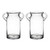 Set of 2 Clear Ice Buckets with Handles 10"