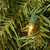 9' x 10" Pre-Lit Norwood Fir Artificial Christmas Garland, White LED Lights