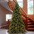 12’ Pre-Lit Medium Tiffany Fir Artificial Christmas Tree, White Lights