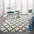 Nourison Diamond Trellis Shag 5'3"X7'10" Ivory And Slate Area Rug 099446733085
