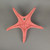 13 Inch Coral Resin Starfish Wall Hanging Sculpture Coastal Home Decor Sea Art