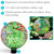 Sunnydaze Indoor/Outdoor Artistic Gazing Globe Glass Garden Ball for Lawn, Patio or Indoors - 10" Diameter - Green