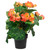 11" Coral Pink Potted Silk Begonia Spring Artificial Floral Arrangement