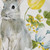 Park Designs Forever Spring Salad Plate Set of 4