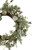 White Berry, Eucalyptus and Pinecone Christmas Wreath, 20-Inch, Unlit