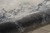 Nourison Maxell Ivory and Grey Rectangle Area Rug 5'3" x 7'3"