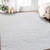 Amer Rugs Odyssey Morris White Polyester Shag 3'x5' Area Rug ODY70305