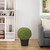 22" Artificial Boxwood Ball Topiary in Round Pot, Unlit