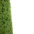 6' Artificial Boxwood Cone Topiary Tree with Round Pot, Unlit