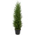 3' Artificial Cedar Pine Petite Arborvitae Tree in Round Pot, Unlit